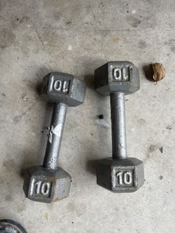10lb Dumbbells
