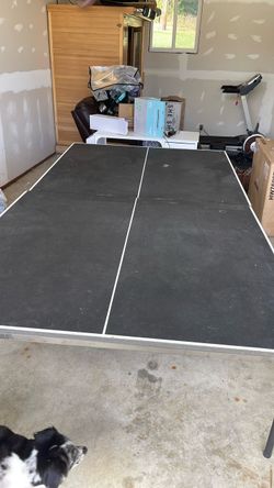 Ping pong table