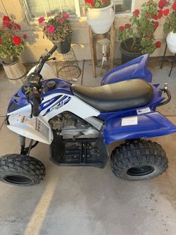 Raptor 90cc