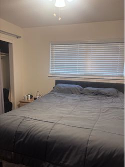 Queen Bedframe , mattress, and bed