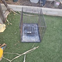 Dog Cage