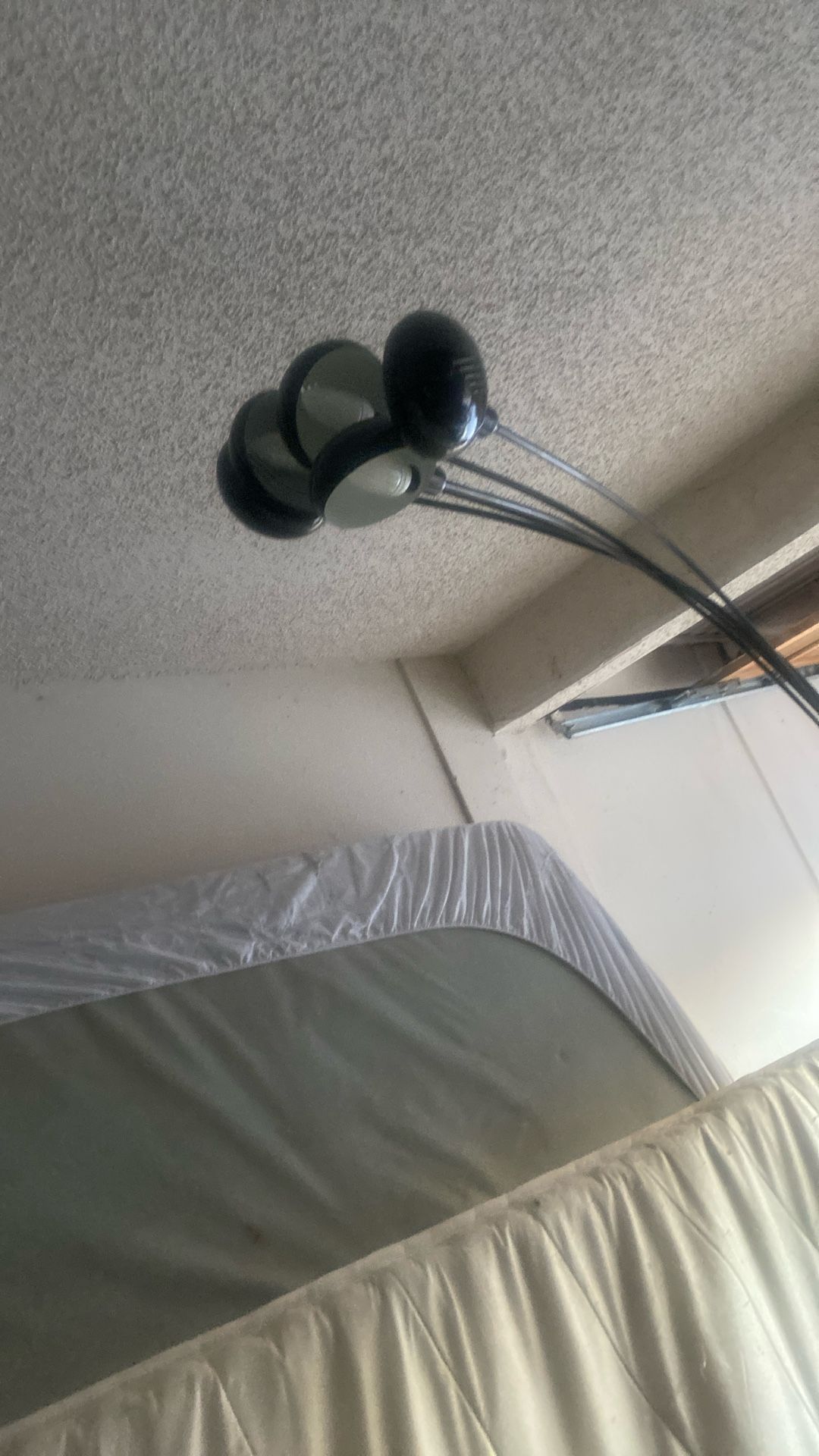 Two Big Lights