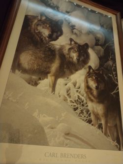 Snow wolves
