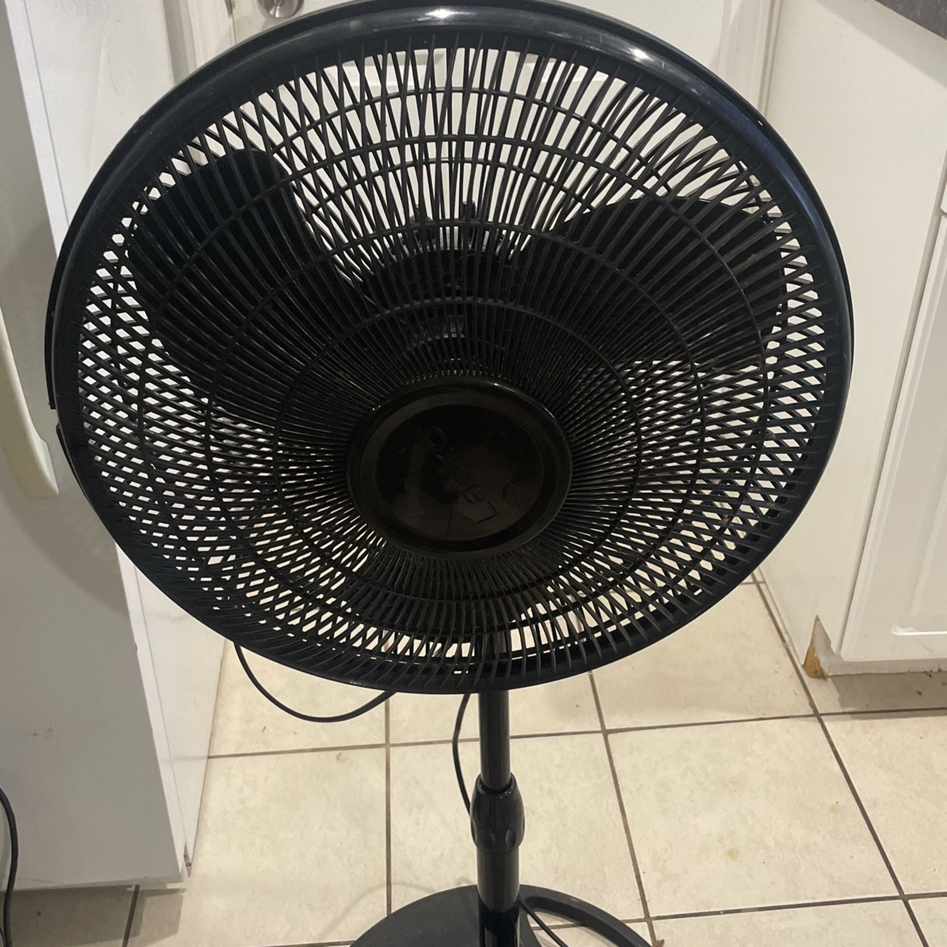 Catch A Breeze In These Hot Fall Weathers
