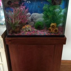 20 gallon aquarium with wood stand 🐠 