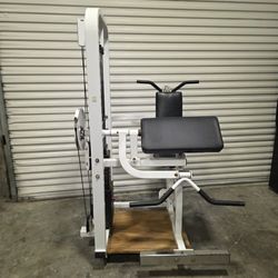 Paramount bicep / tricep machine