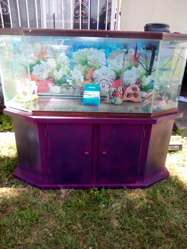 Fish Tank 350$