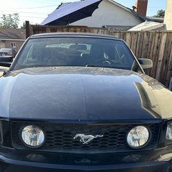 2007 Ford Mustang GT Convertible 