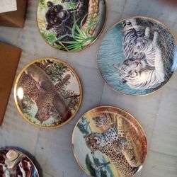 Limited Edition Tiger Plates 