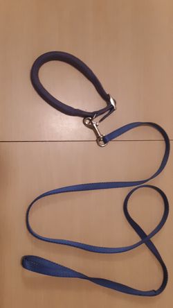 Blue dog leash with collar