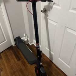 2 person scooter