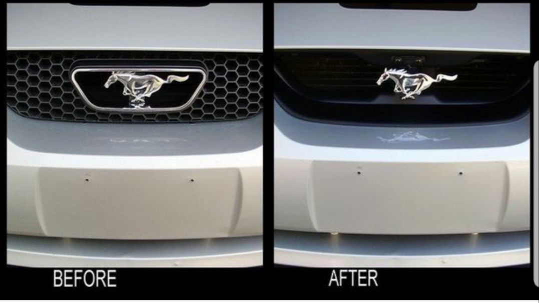 Mustang 99-04 Mach 1 Grille delete kit