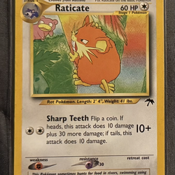 Raticate - Southern Islands - LP