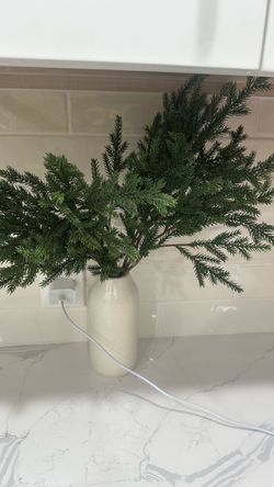 Cream Ceramic Vase with Faux Pine Stems