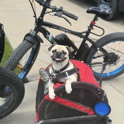 Pet Or Grocery Trailer 