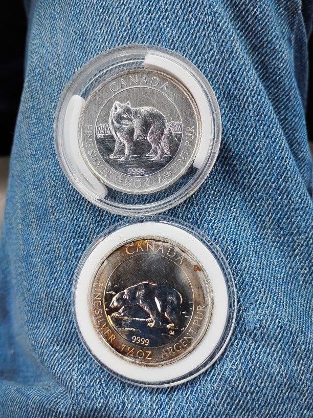 Silver Coin