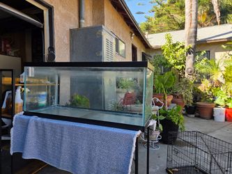 Large Glass Aquarium Fish Tank with Stand