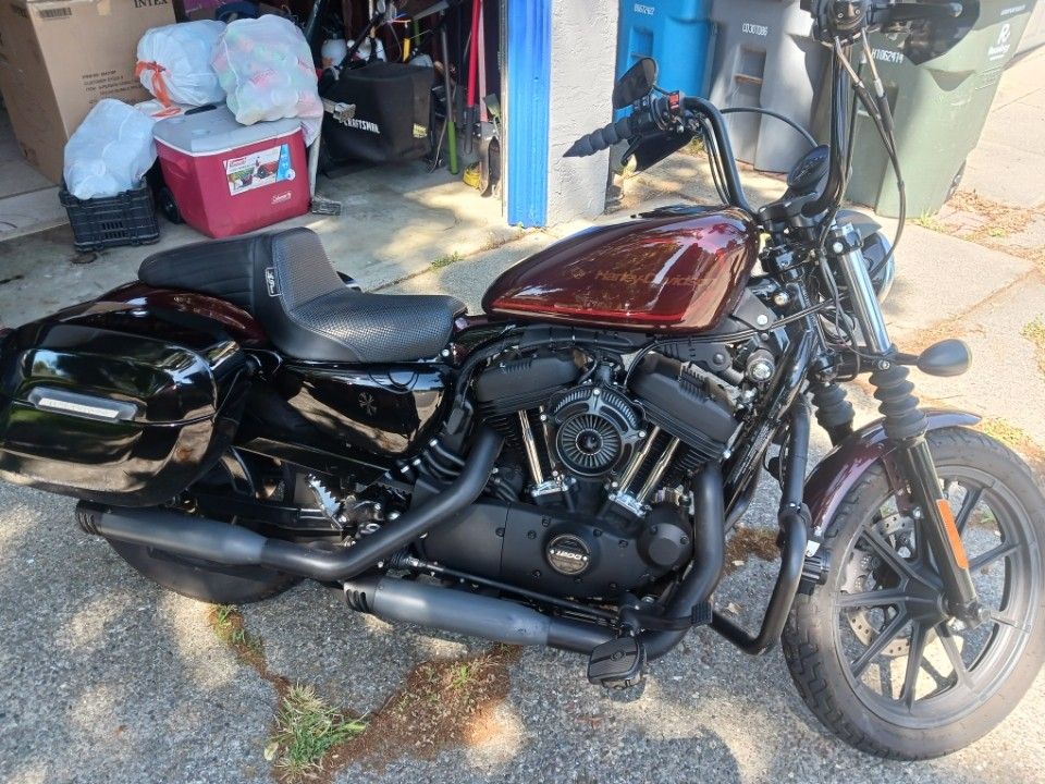 2019 Harley Davidson Sportster 