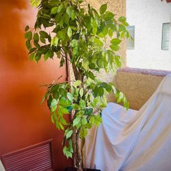 UHGE GORGEOUS ARTIFICIAL PLANT IN A POT. EXCELLENT CONDITION! HIGHT: 77" POT'S SIZE: 7.5"