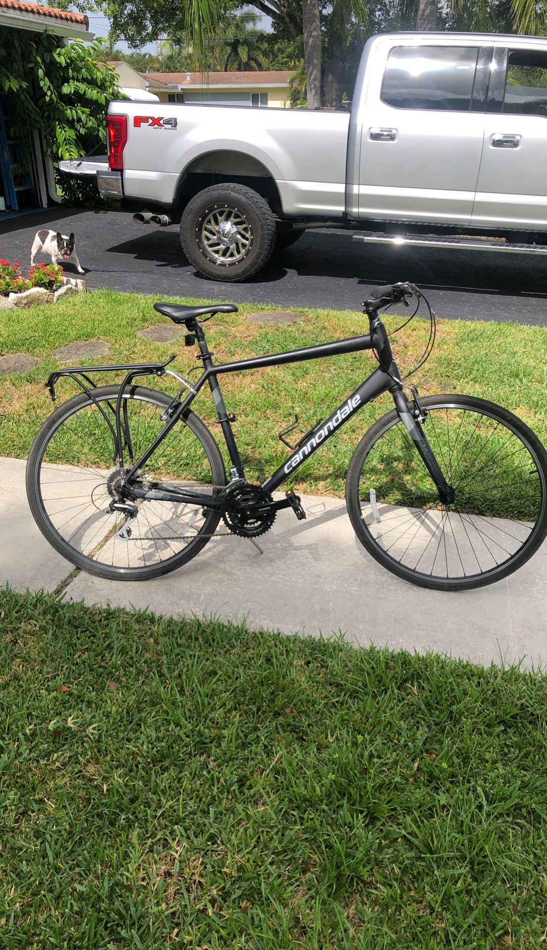 SPECIALIZED CANNONDALE Bike