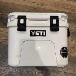 Yeti Roadie 15 