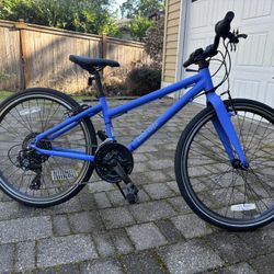 REV  CTY 24 Kids Bike (REI)