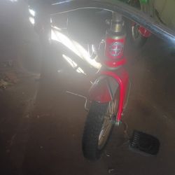 Tricycle And Radio Flyer 