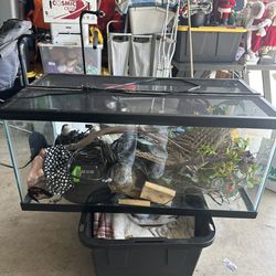 40 Gallon Tank With Lots Of Reptile Supplies 