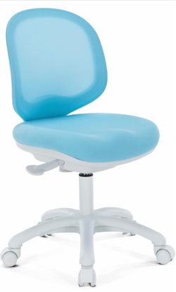 Kids Ergonomic Adjustable Desk Chair