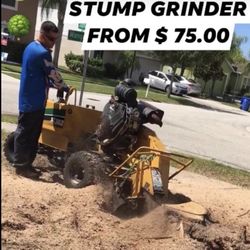 STUMP GRINDING 