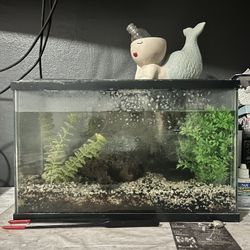 Free Fish Tank 5.5gal