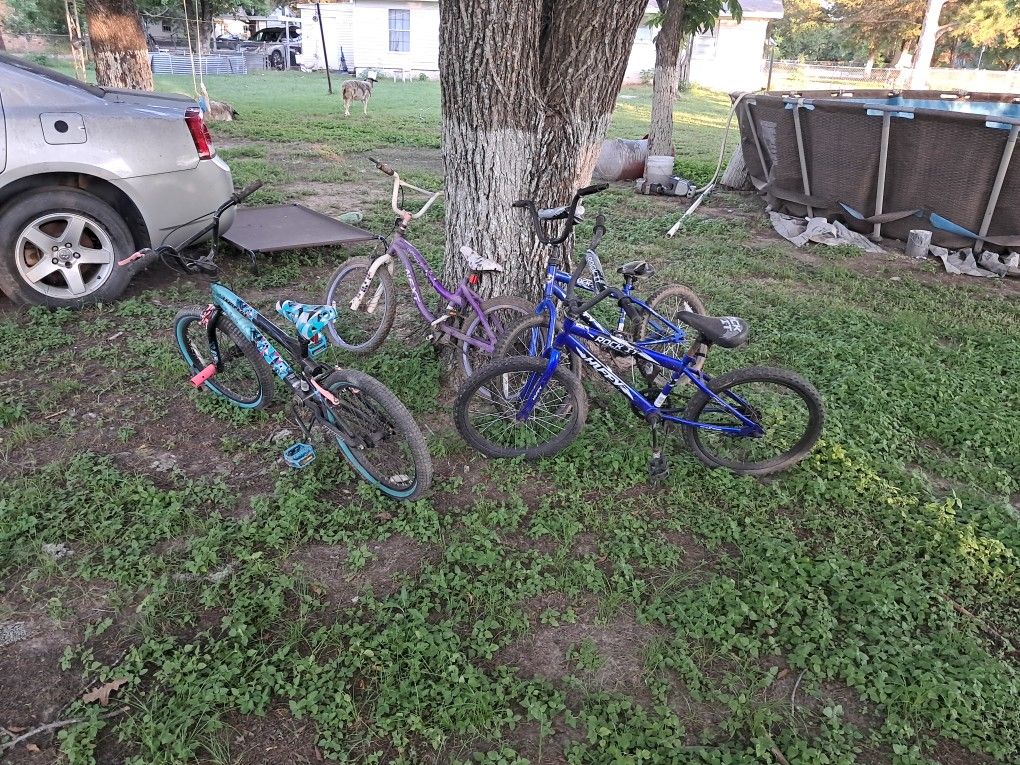 Bicicletas