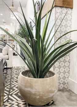 Artificial Plant w/ Cement Planter $90