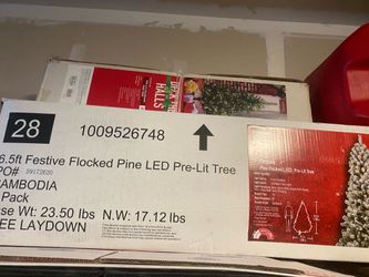 Christmas trees