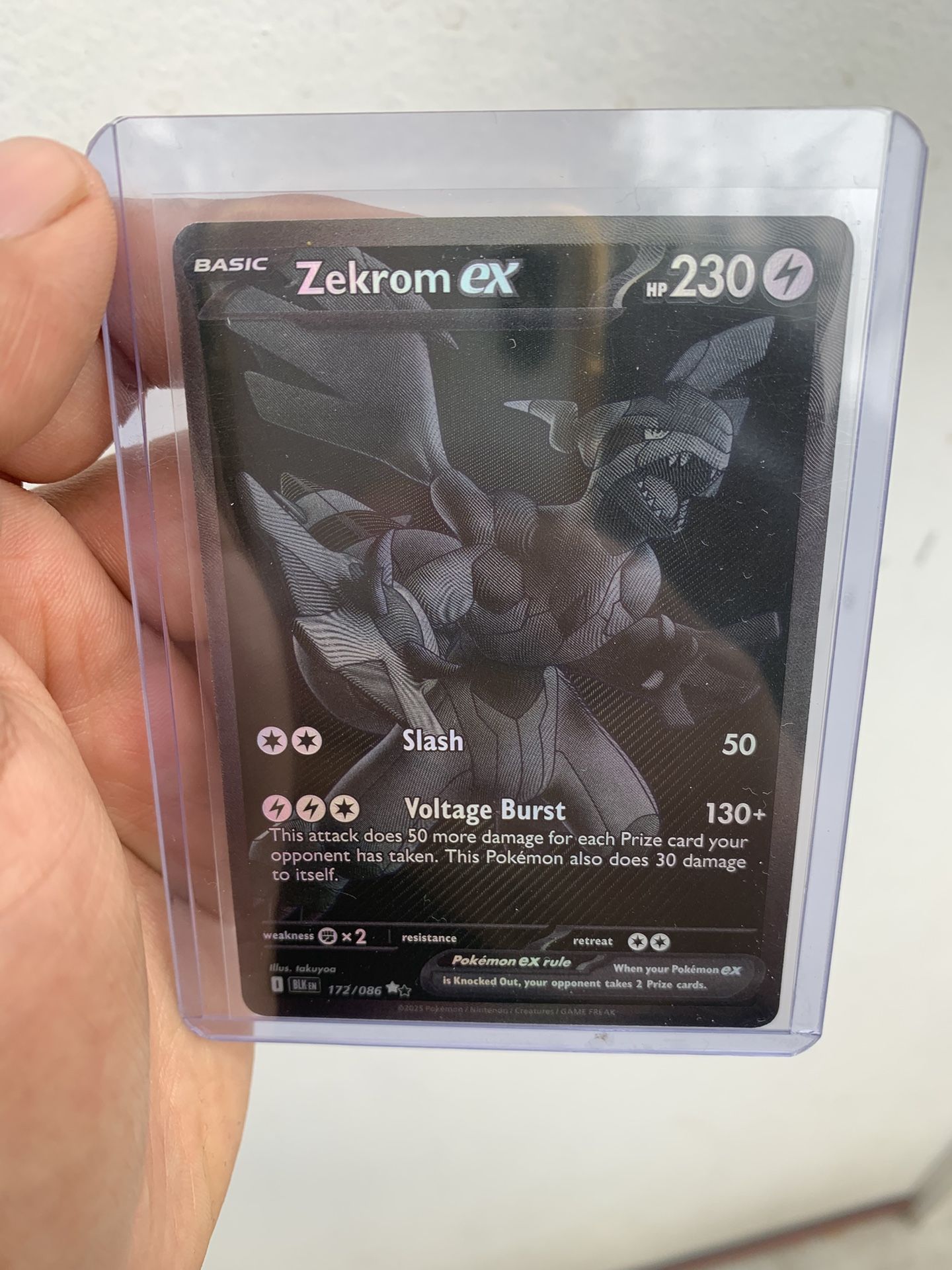 Zekrom Ex