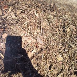 Mulch