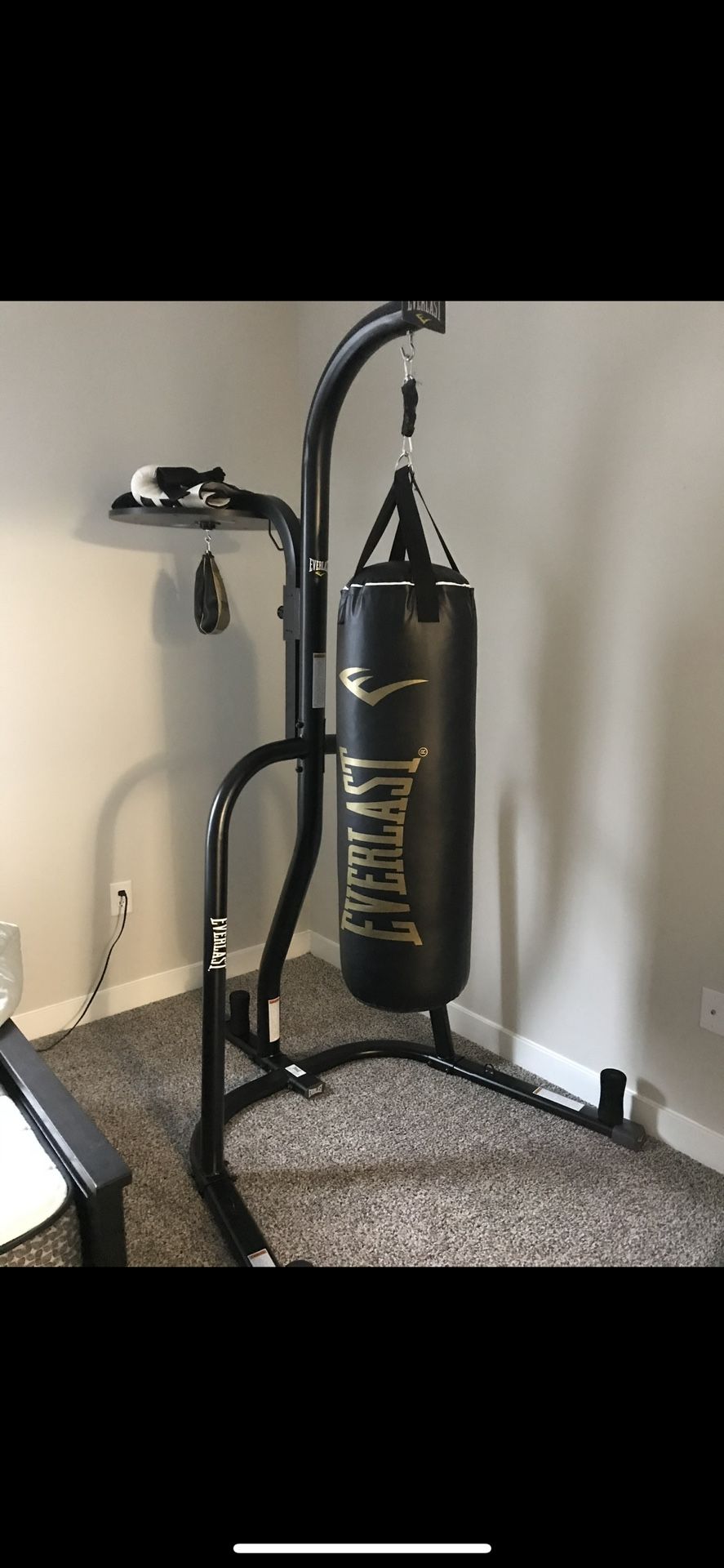 Everlast Powercore Dual Punching Bag/Speed Bag and Stand