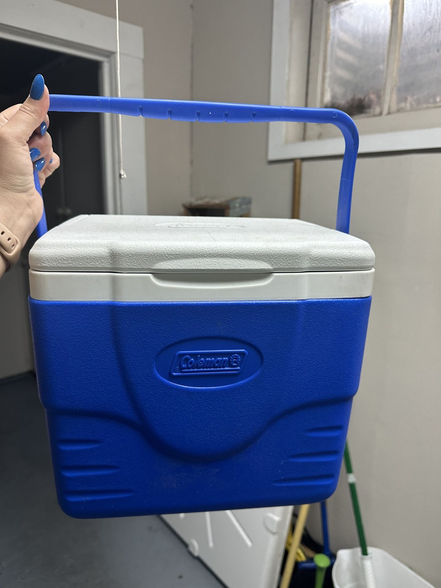 Coleman Cooler