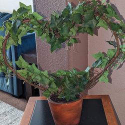 Valentine Heart Faux English Ivy Topiary - Hedera - 6" Pot