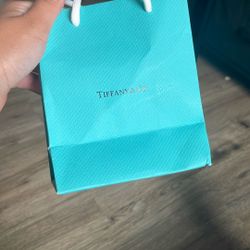Tiffany And Co Earrings