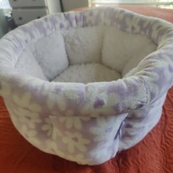 Cat Bed