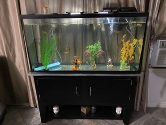 60 Gallon Aquarium 