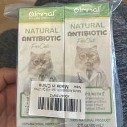 Cat Antibiotics 