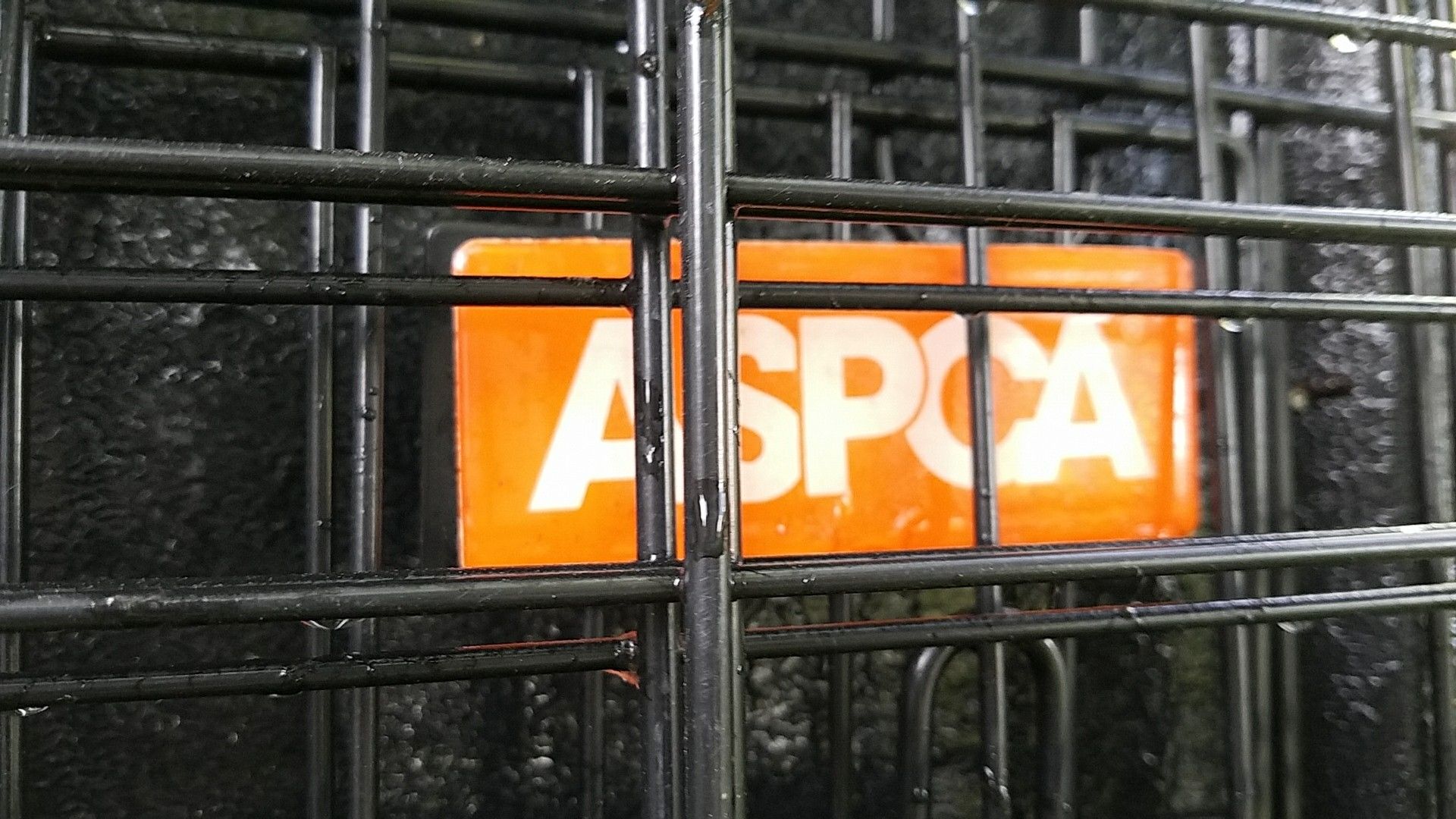 Aspca dog crate tray online
