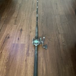 Saltwater Fishing Rod