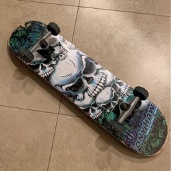 Tony Hawk Huckjam Series Kickflip skateboard Bravo Sports 25"