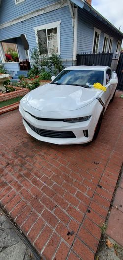 Hood wraps