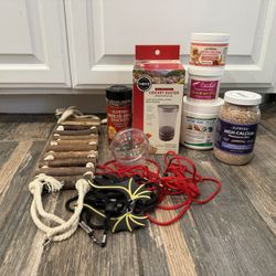 Bearded Dragon Supplies