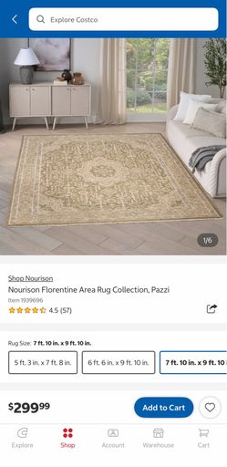 COSTCO BRAND NEW: Nourison Home FLORENTINE Indoor Area Rug Pazzi 7FTx10INx9FTx10IN