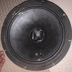 10 In Loudspeaker